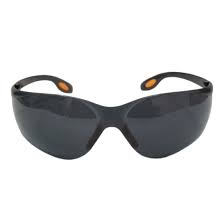 Workman WK SG 3005 D Lory Safety Goggles