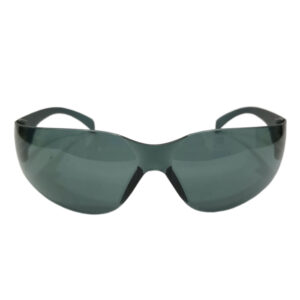 Workman WK SG 3006 D Teal Safety Goggles